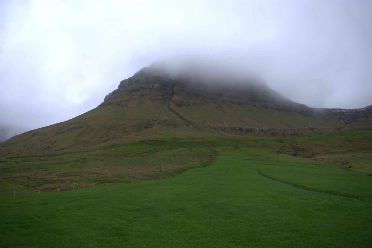 Ein grünes Feld mit einem Berg im Hintergrund.