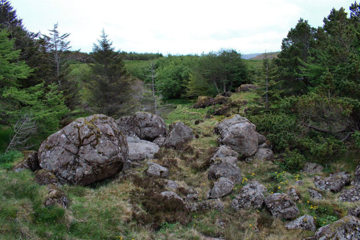 Eine große Felsgruppe in einem Waldgebiet.
