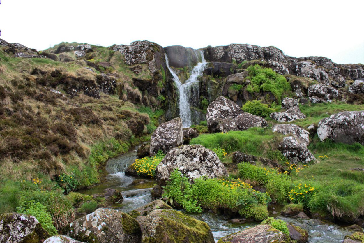 Ein Wasserfall mitten in einer Grasfläche.