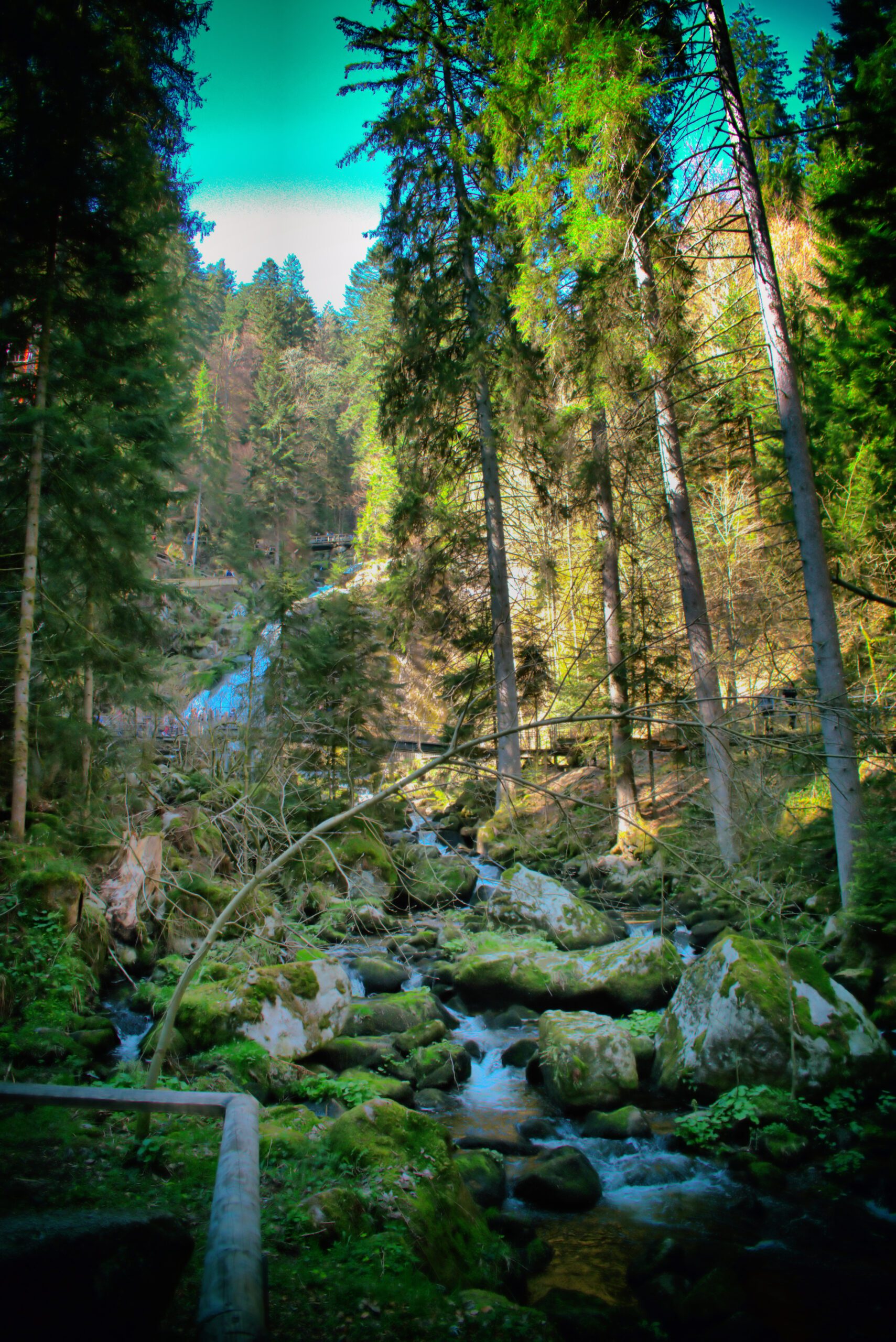 Ein Bach läuft durch den Wald (schwarz Wald)Die Steine sind vom Moss bewachsen. Es scheint die Sonne, dennoch ist es etwas dunkel durch den Wald.
