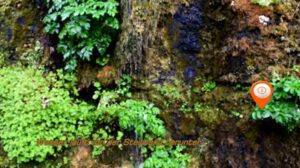 Eine Karte, die den Standort eines majestätischen Wasserfalls zeigt.