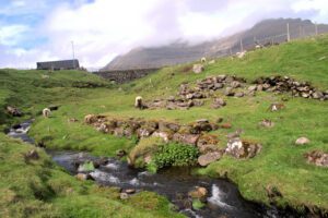 Schafe grasen auf einer Wiese in der Nähe eines Baches.