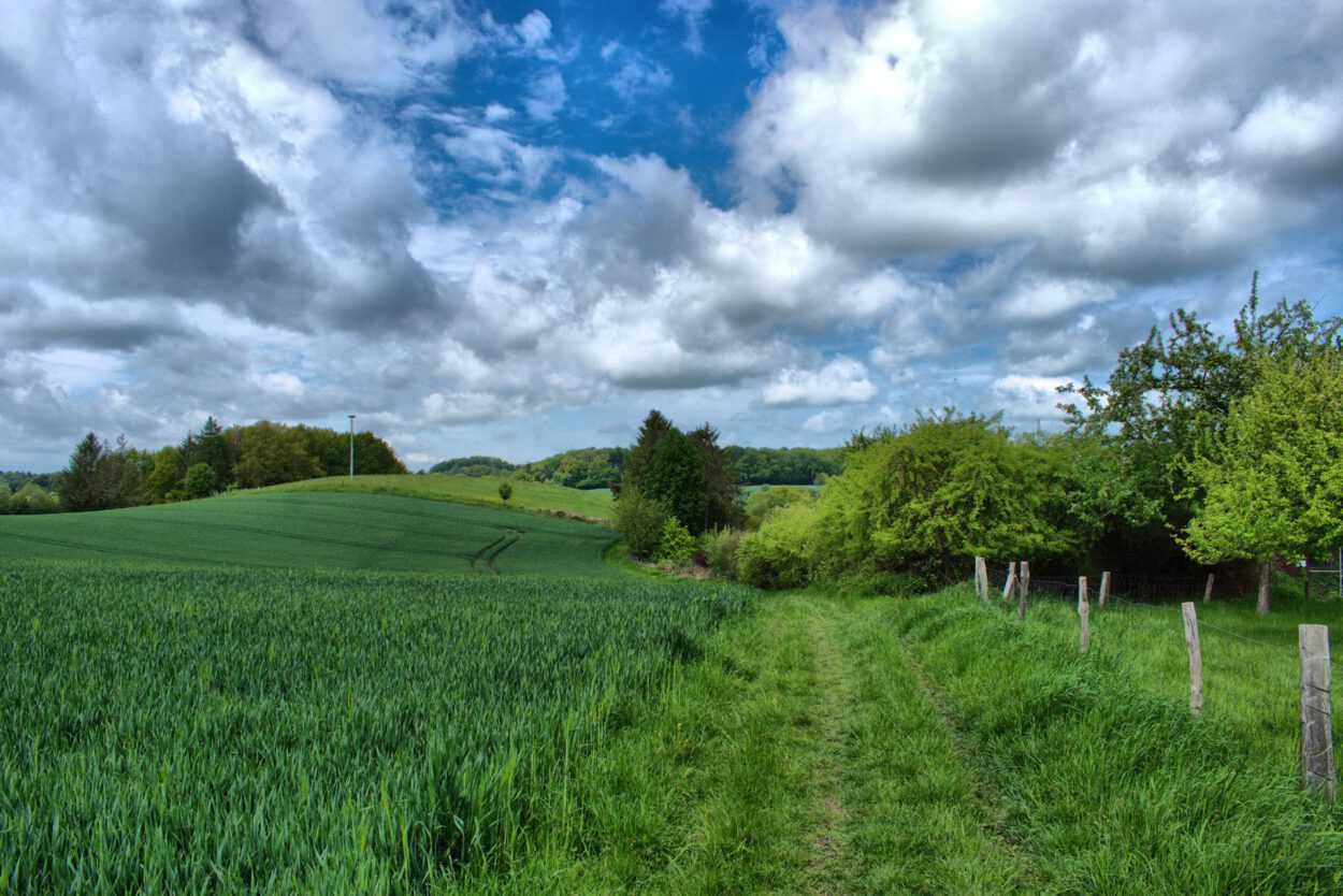 Ein grünes Feld mit einem Zaun und Wolken am Himmel.