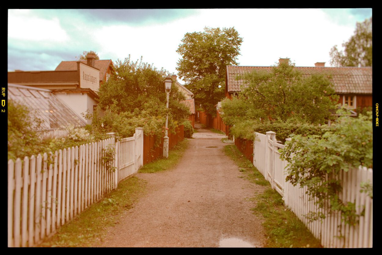 Ein Weg zwischen Häusern mit weißem Lattenzaun und Bäumen.