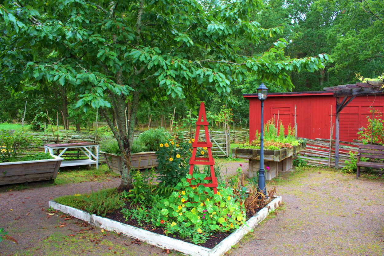 Ein kleiner Garten mit einem Baum und einer roten Leiter.