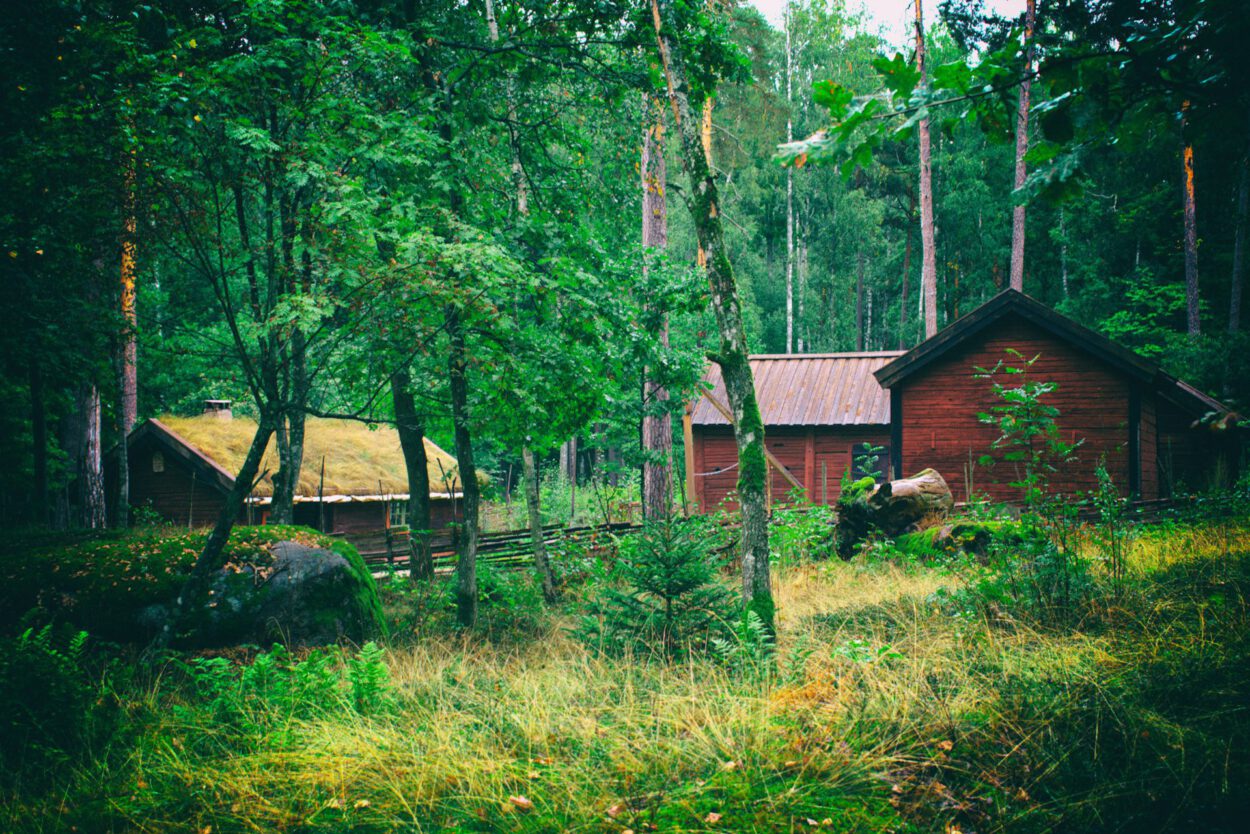 Eine Holzhütte im Wald.