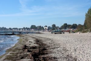 Der Sand am Strand.