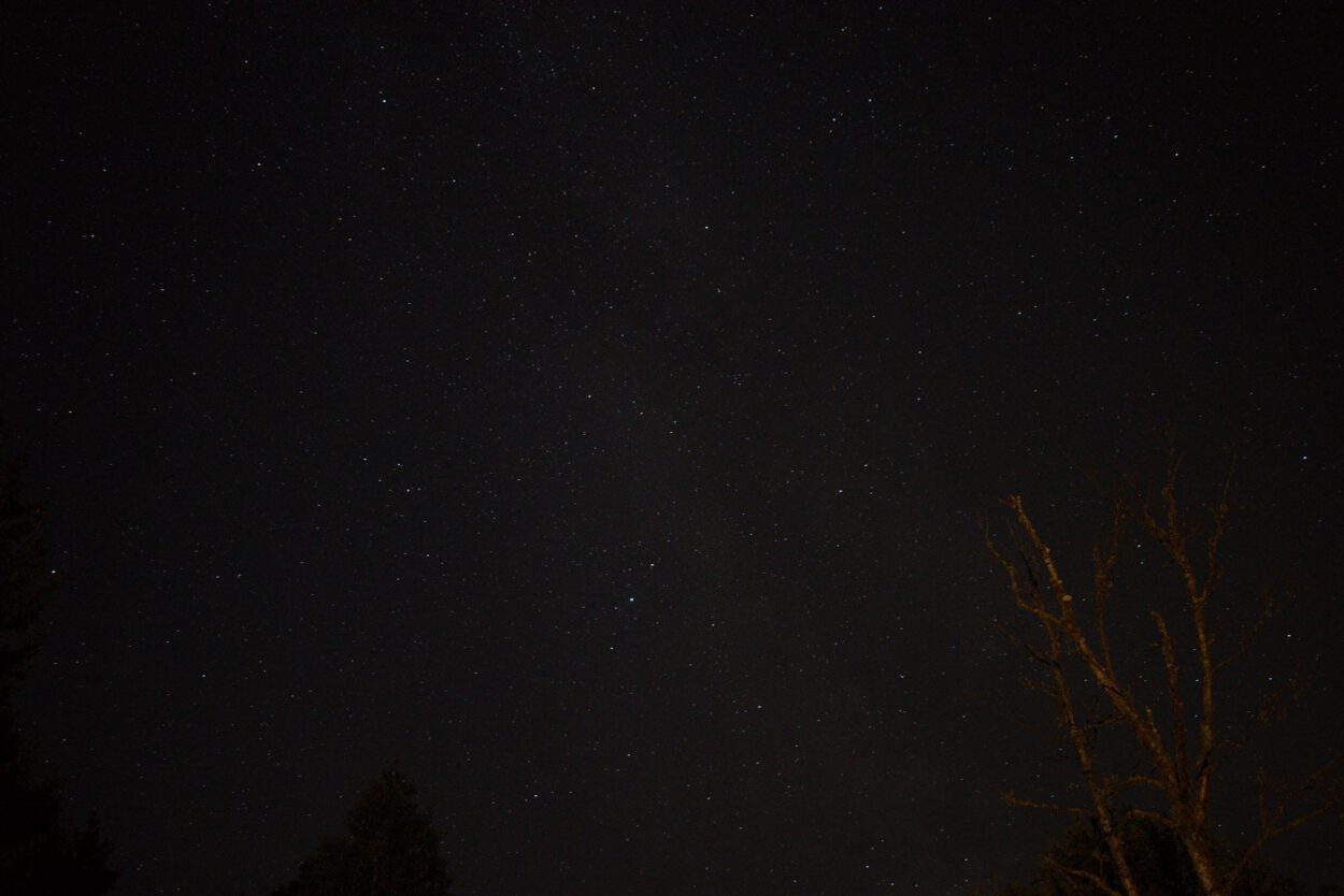 Ein Sternenhimmel mit einem Baum im Vordergrund.