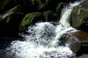 Ein Wasserfall in einem Waldgebiet.