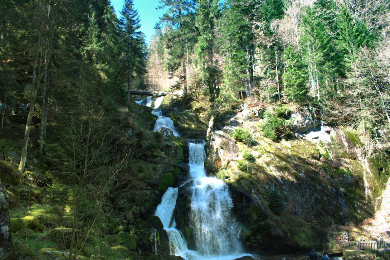 Ein Wasserfall in einem Waldgebiet, umgeben von Bäumen.