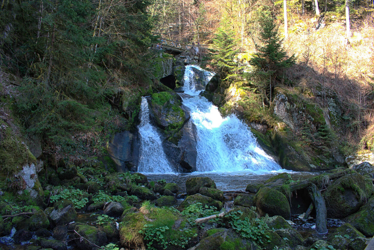 Ein Wasserfall in einem Waldgebiet mit Moos und Felsen.