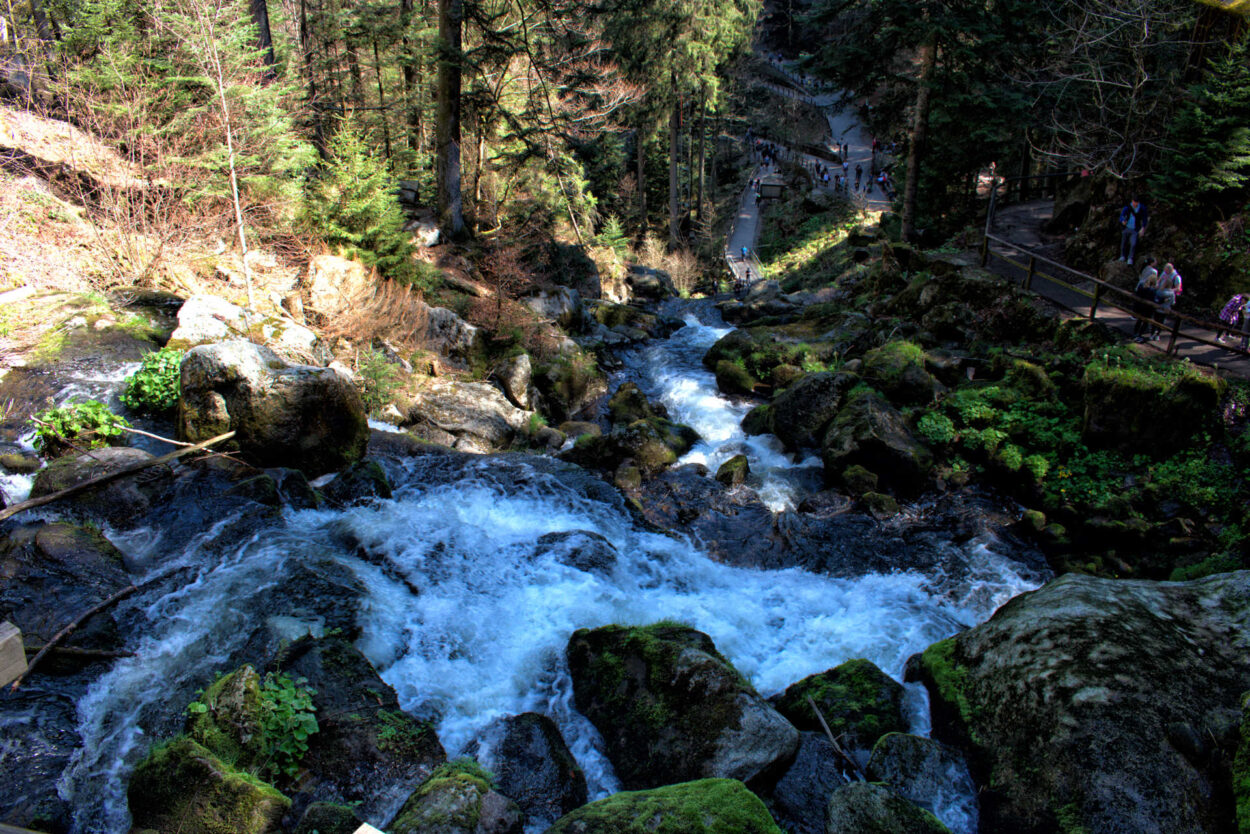 Ein Wasserfall in einem Waldgebiet mit Felsen und Bäumen.
