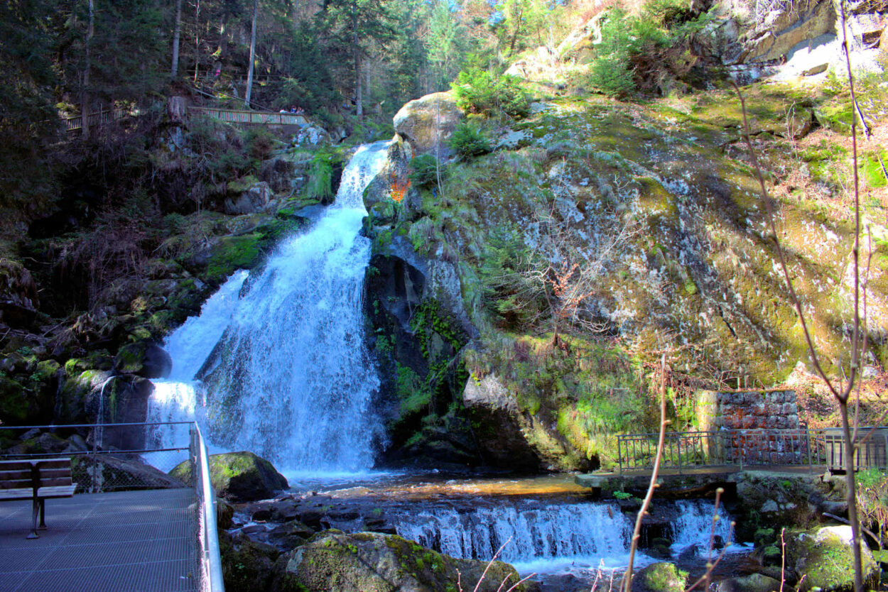 Ein Wasserfall in einem Waldgebiet.
