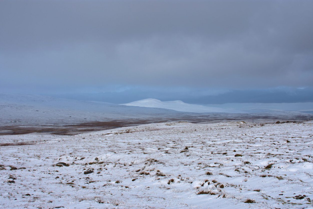 Ein schneebedecktes Feld mit Bergen im Hintergrund.