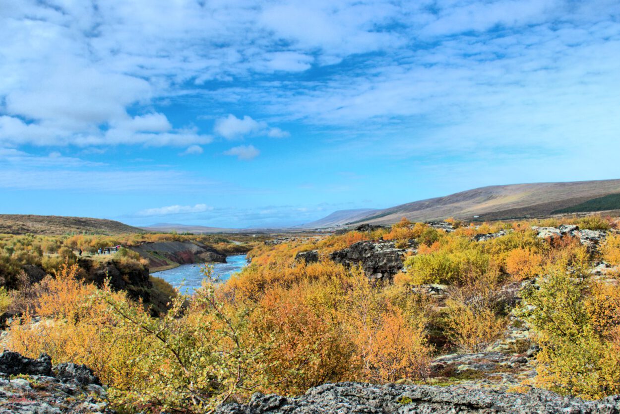 Herbst in Island — Stockfoto.