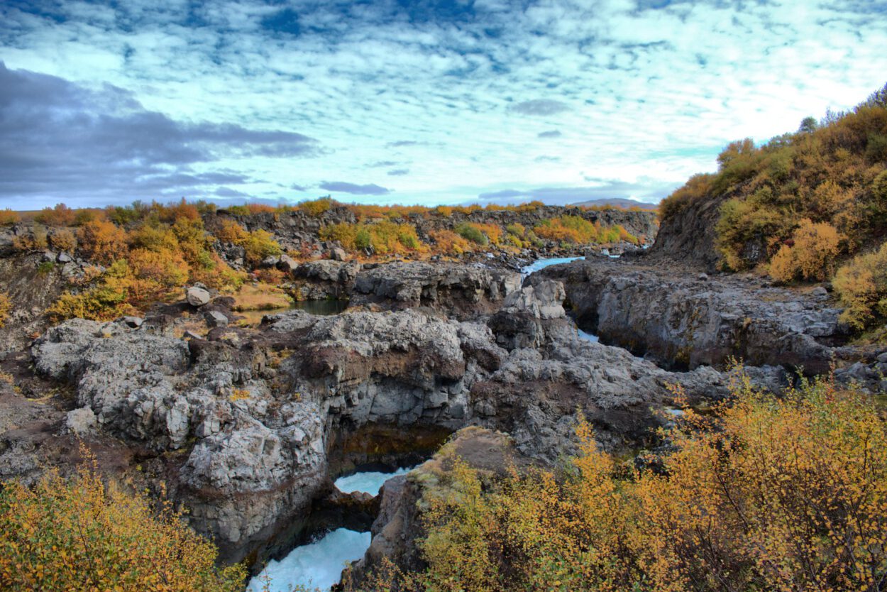 Ein von Felsen und Bäumen umgebener Fluss in Island.