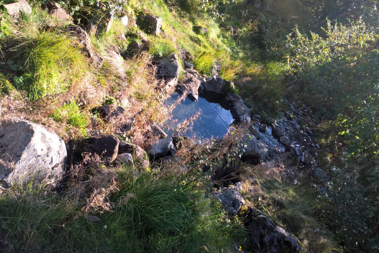 Ein kleiner Teich liegt inmitten eines grasbewachsenen Hügels, umgeben von nichts als der Schönheit der Natur.
