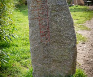 Haithabu (50)