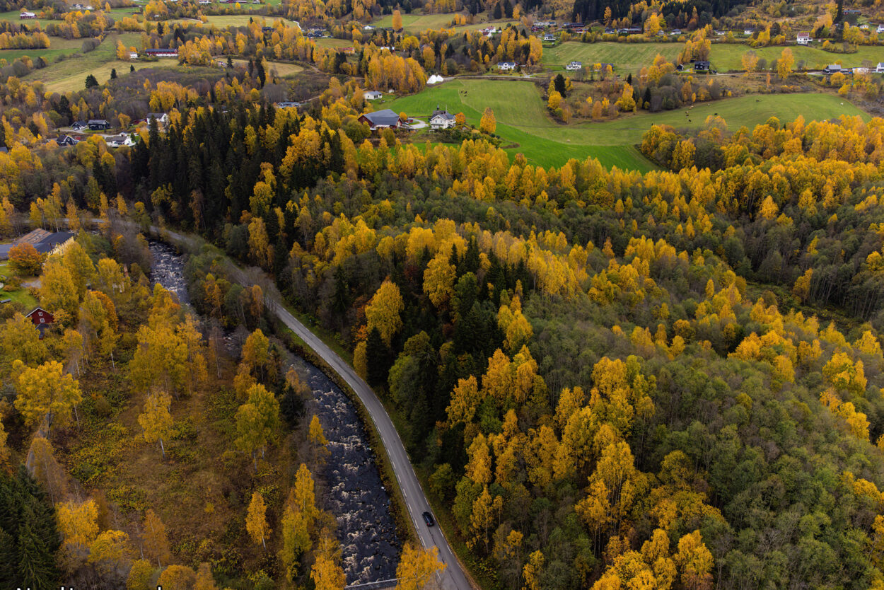 Eine Luftaufnahme eines Tals mit gelben Bäumen.