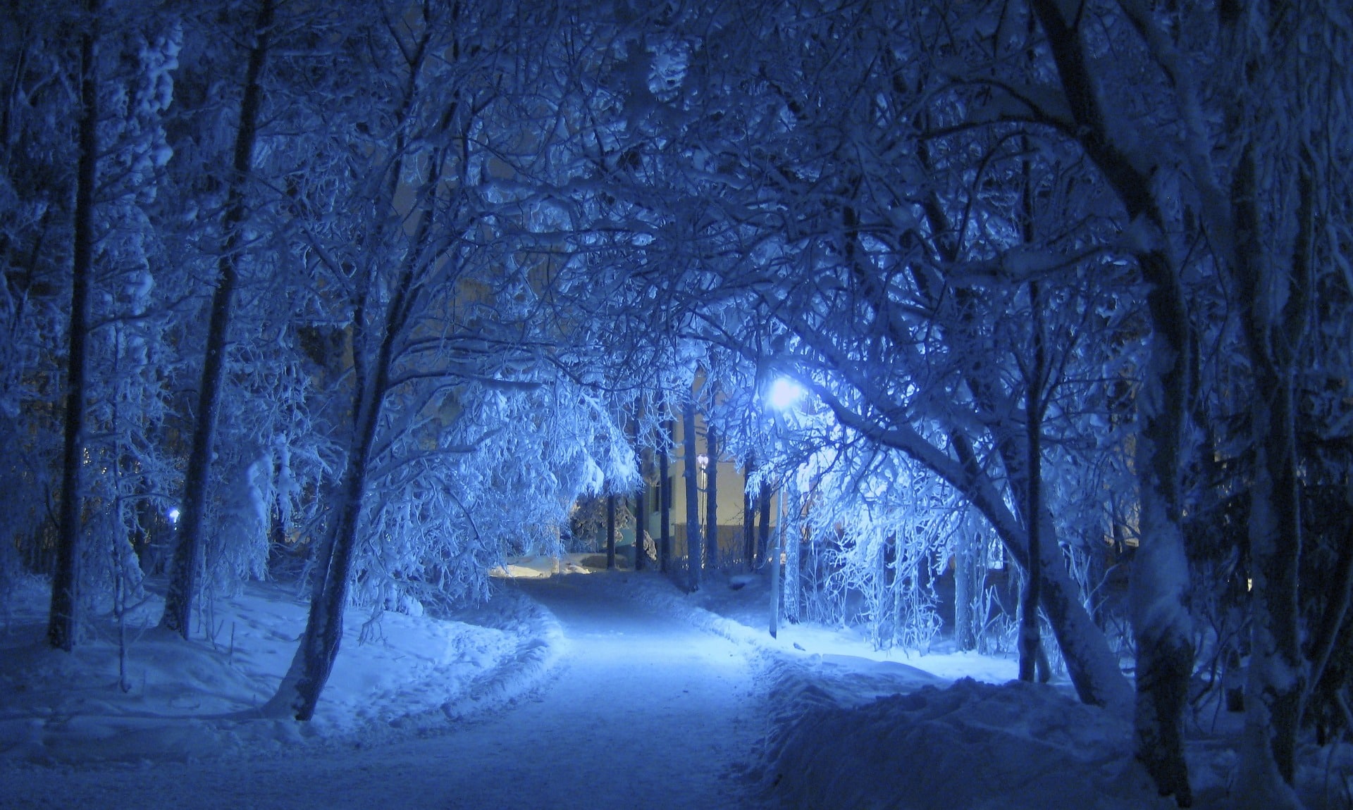 Winter, Nacht, Blau ,Schneebedeckt, Finnland, Bäume