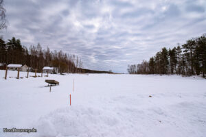 Ein schneebedecktes Feld mit Bäumen im Hintergrund.