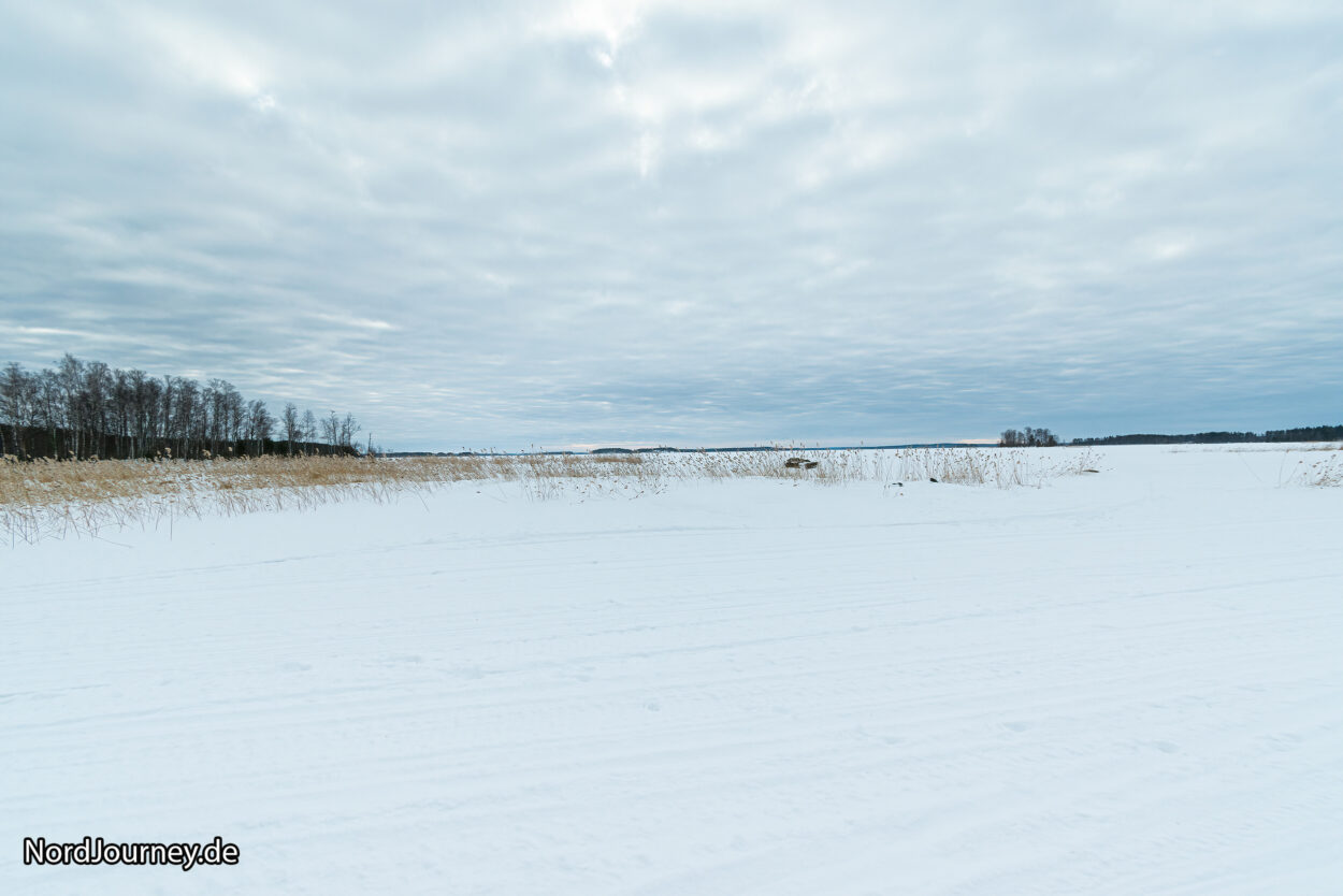 Ein schneebedecktes Feld.