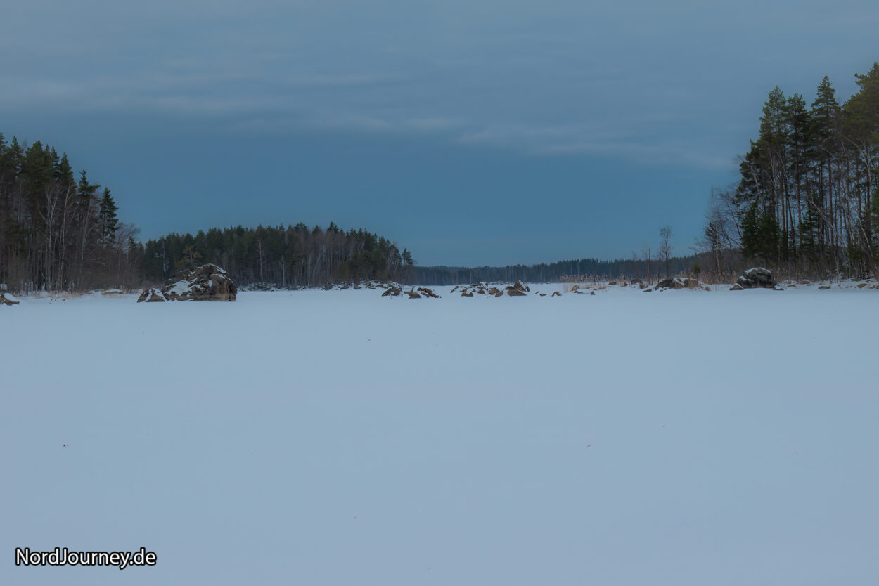 Ein schneebedecktes Feld mit Bäumen im Hintergrund.