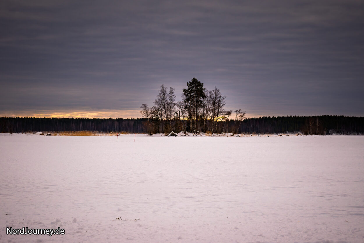 Ein einsamer Baum inmitten eines schneebedeckten Feldes.
