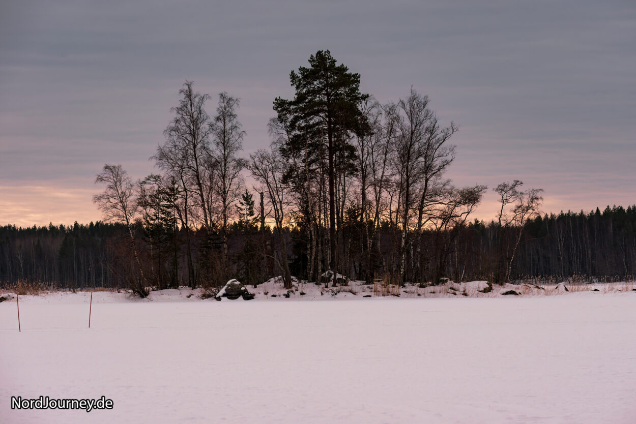 Ein schneebedecktes Feld mit Bäumen im Hintergrund.