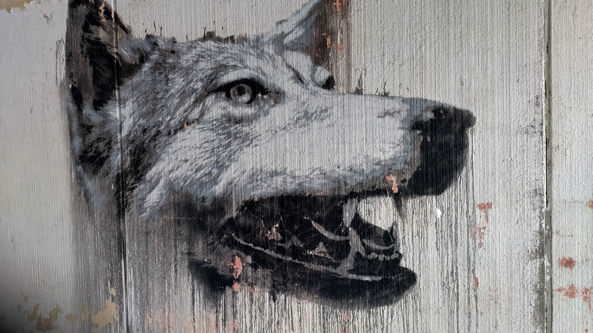Streetart Wolf