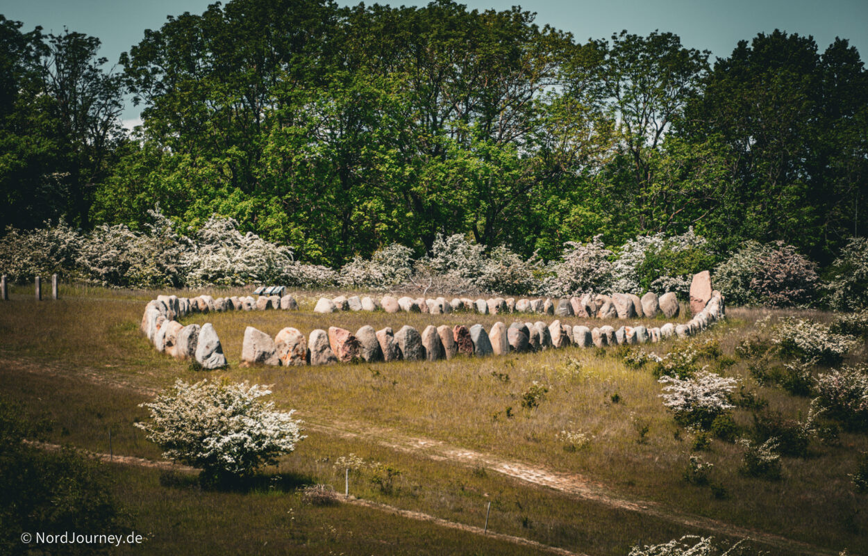 Eine Gruppe von Steinen, die kreisförmig auf einem Feld angeordnet sind.