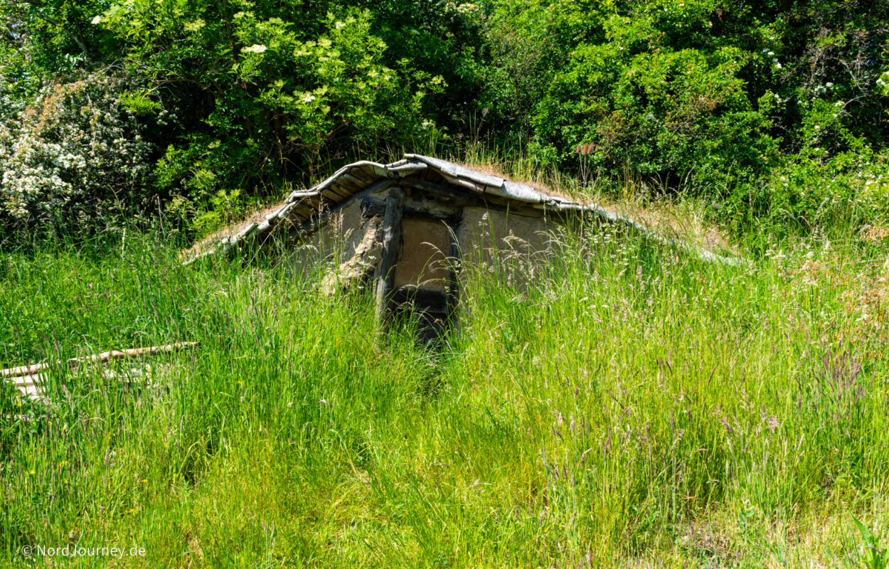 Eine alte Hütte mitten im hohen Gras.