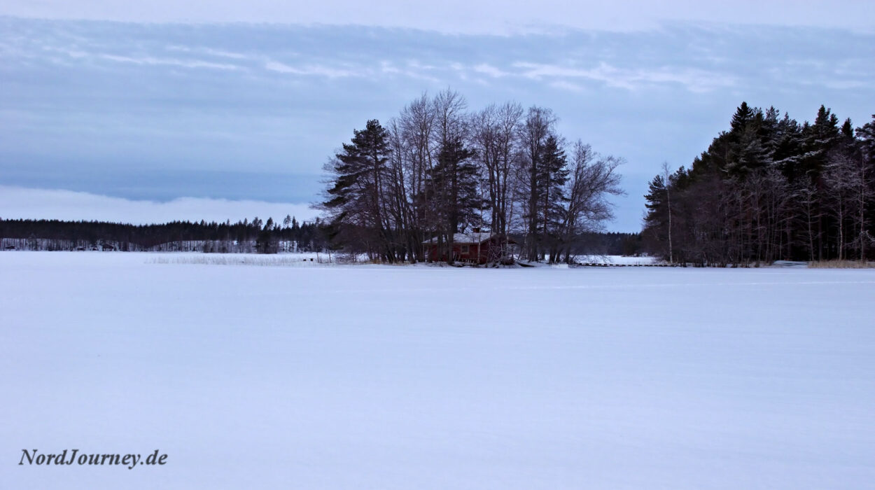 Ein schneebedecktes Feld mit Bäumen und einem Haus.