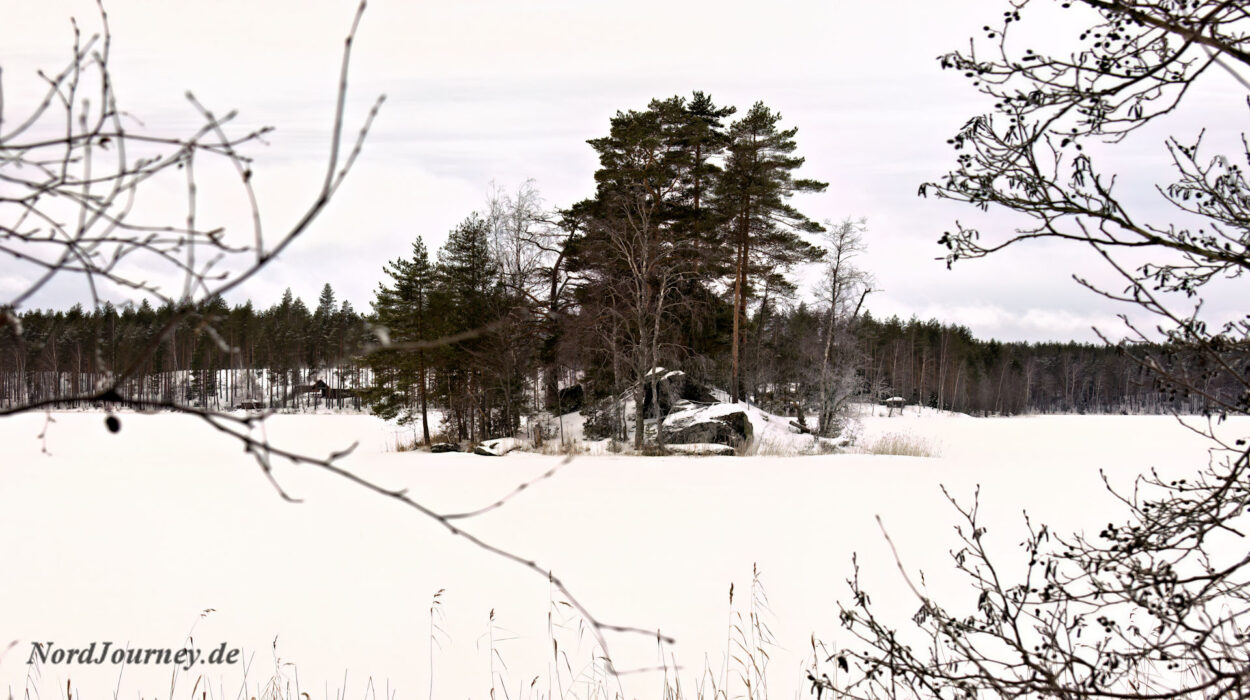 Ein schneebedeckter See mit Bäumen im Hintergrund.