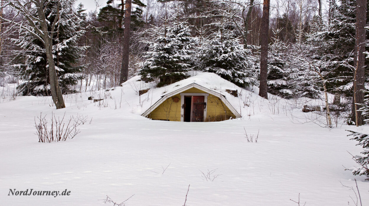 Eine kleine Hütte mitten in einem schneebedeckten Wald.