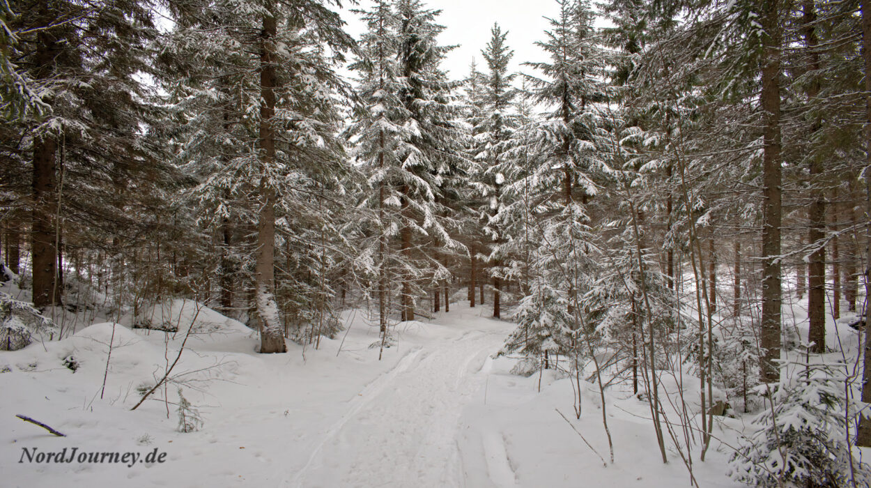 Ein schneebedeckter Weg durch einen Wald.