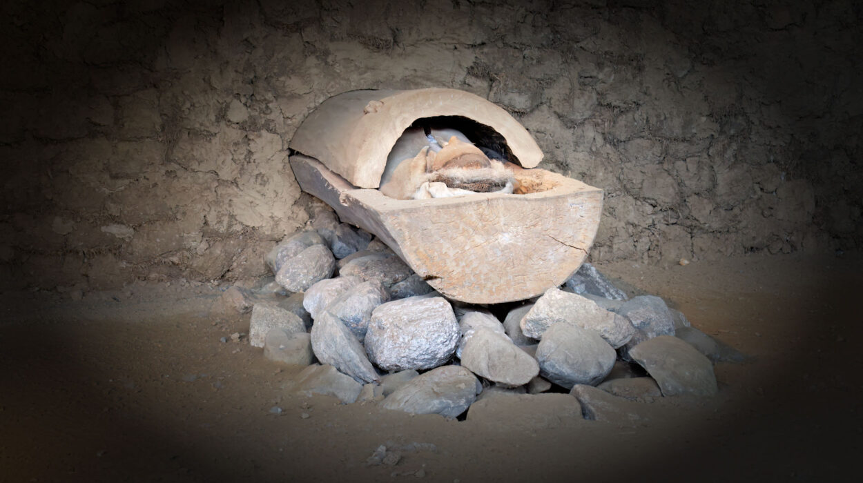 Eine steinzeitliche Grabstätte mit menschlichen Überresten in einem Holzsarg, platziert auf einer Ansammlung von Steinen in einer Erdkammer.