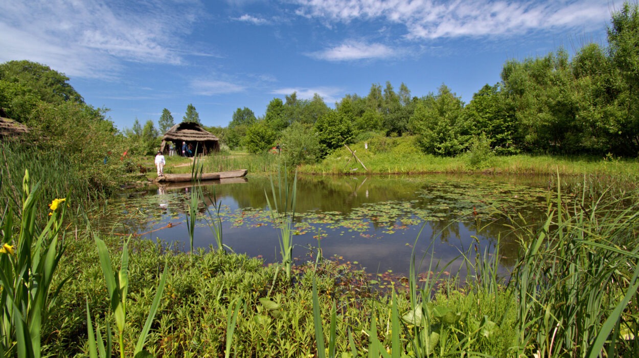 Ein von Grün umgebener Teich mit Menschen, die auf einem kleinen Holzsteg stehen. Der Himmel ist teilweise bewölkt und im Hintergrund sind Bäume und Büsche zu sehen.