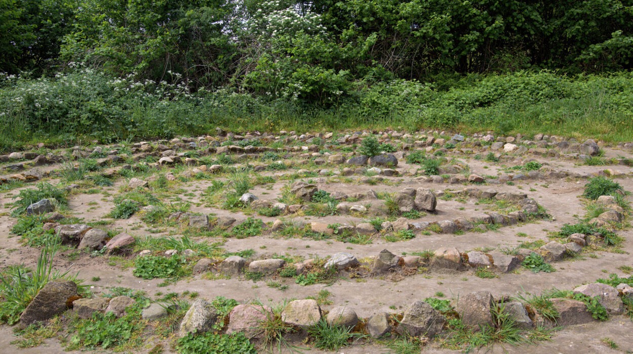Ein spiralförmiges Steinlabyrinth auf einer Erdoberfläche, umgeben von grünem Laub. Um einige Felsen herum wachsen kleine Pflanzen.