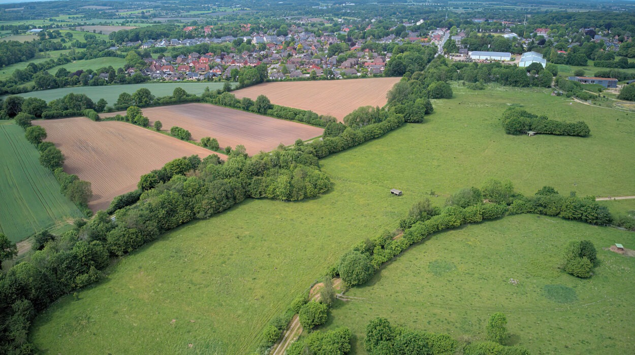 Luftaufnahme einer ländlichen Landschaft mit großen grünen Feldern, einer kleinen Ansammlung von Gebäuden in der Ferne und überall in der Szene verstreuten Baumgruppen unter einem teilweise bewölkten Himmel.