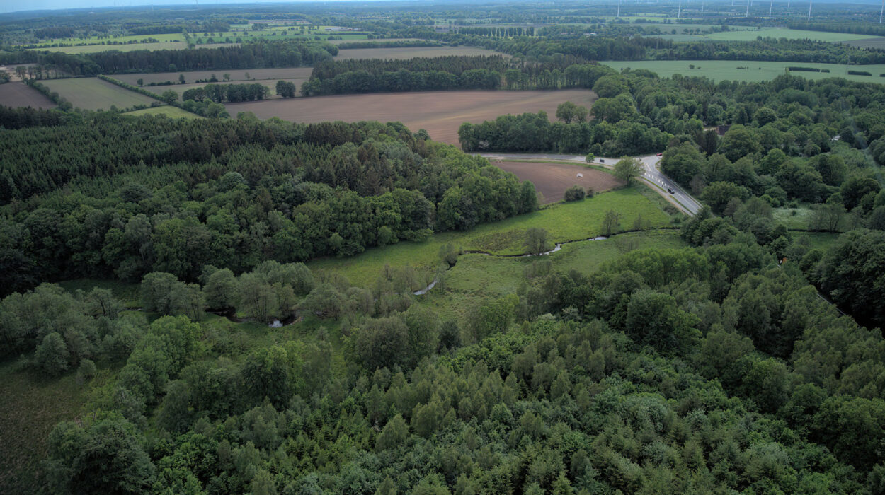 Eine Luftaufnahme einer ländlichen Landschaft mit verschiedenen Wäldern, Feldern, einem gewundenen Fluss, einer Straße und Windrädern in der Ferne unter einem teilweise bewölkten Himmel.