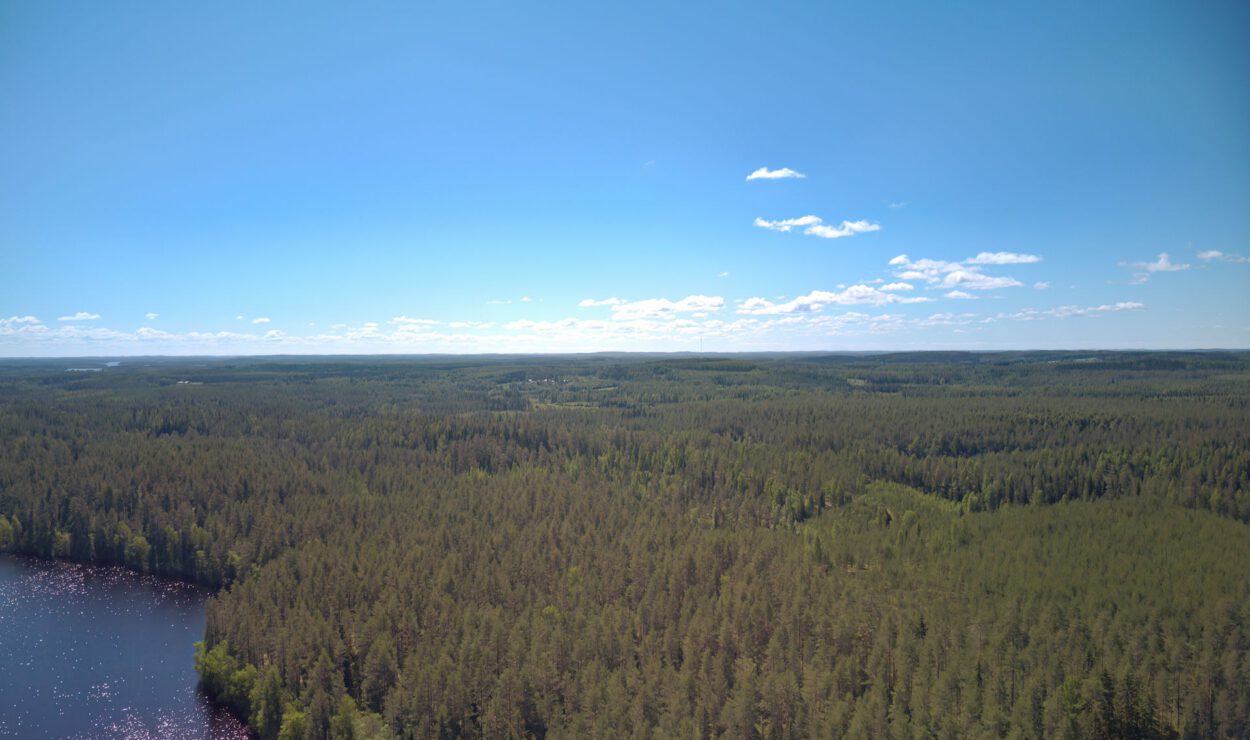 Luftaufnahme eines dichten Waldes mit einem See im Vordergrund, unter einem klaren, blauen Himmel mit vereinzelten Wolken.