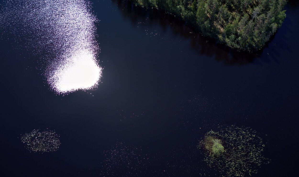 Luftaufnahme eines Sees, der das Sonnenlicht in der Nähe eines Waldgebiets reflektiert. Im Wasser sind Vegetationsflecken sichtbar.