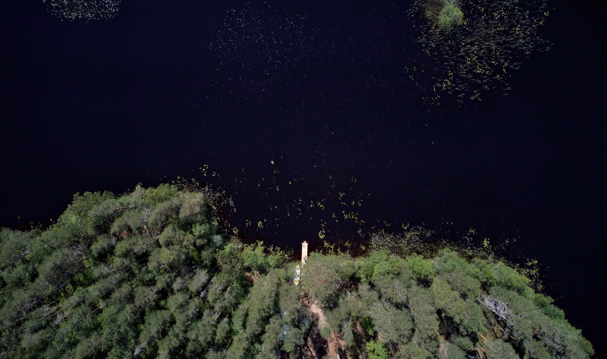 Luftaufnahme eines dunklen, von dichten Bäumen gesäumten Wassers mit einem Steg, der vom Ufer ausgeht. Auf der Wasseroberfläche ist vereinzelte Vegetation sichtbar.