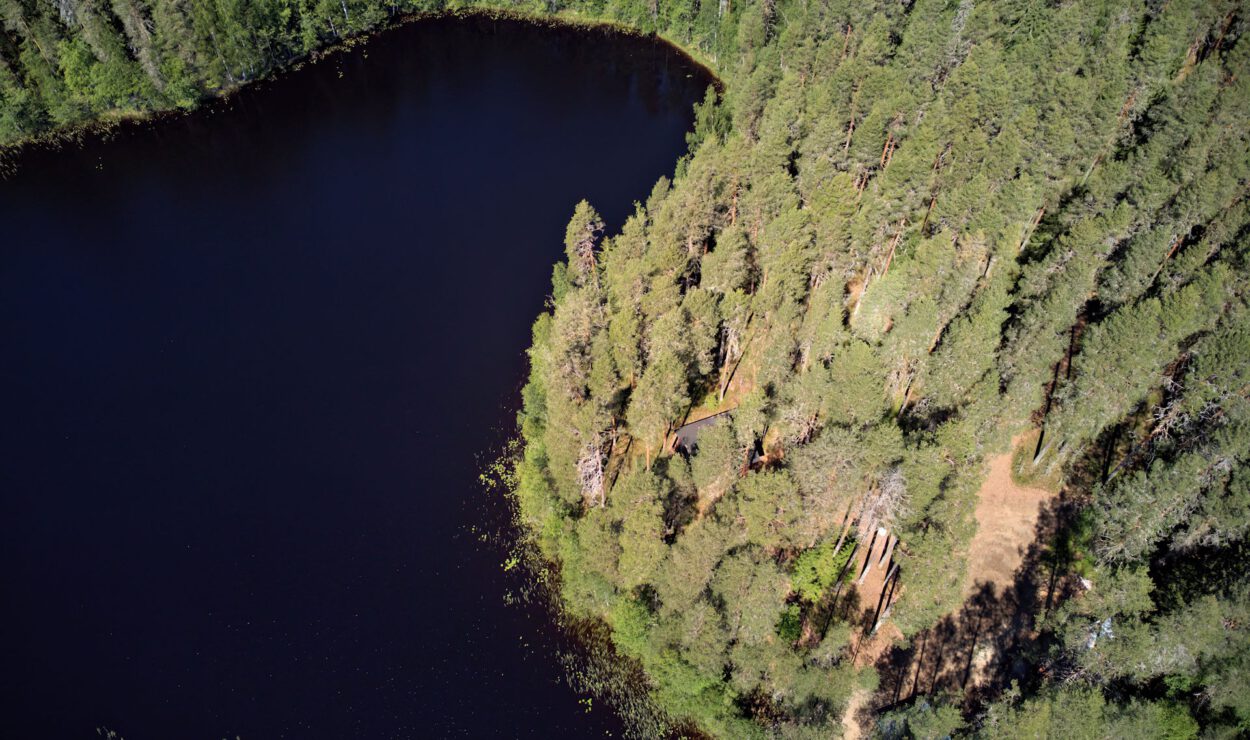 Luftaufnahme eines Waldgebiets mit hohen Bäumen, die einen dunklen, ruhigen See umgeben. In der Nähe des Wasserrands ist eine kleine Lichtung sichtbar.