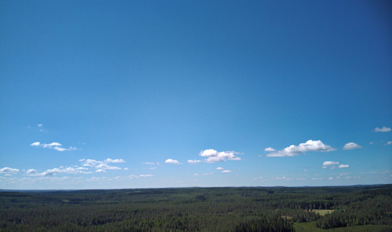 Unter einem klaren blauen Himmel mit vereinzelten weißen Wolken erstreckt sich eine weite Waldlandschaft.