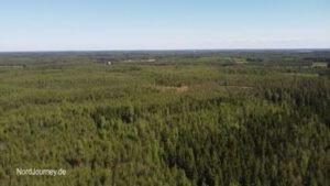 Luftaufnahme einer ausgedehnten Waldlandschaft unter einem klaren blauen Himmel. In der Ferne sind spärliche Graslandflächen zu erkennen.