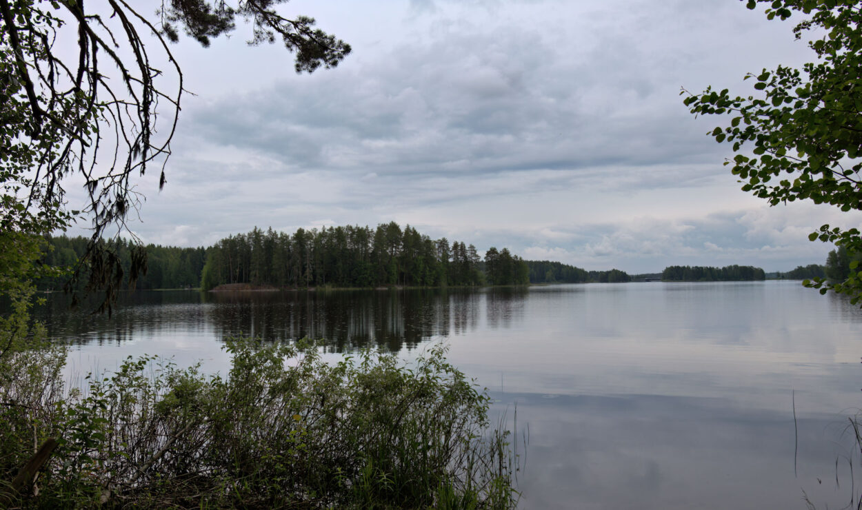 Ein ruhiger See, umgeben von Bäumen unter einem bewölkten Himmel, mit Ästen, die die Aussicht einrahmen.