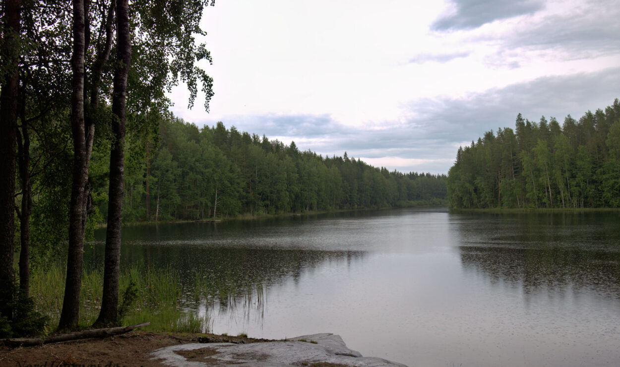 Ein ruhiger See, umgeben von dichten Wäldern unter einem bewölkten Himmel.