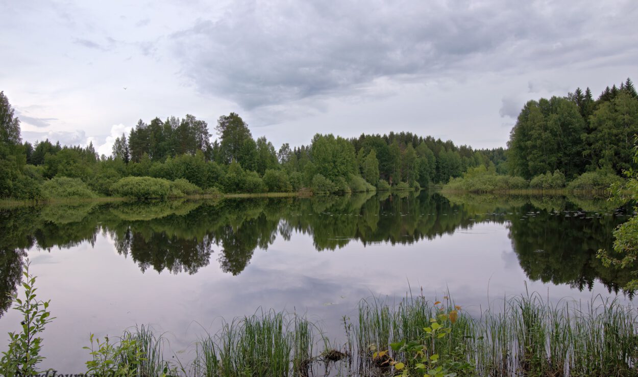 Ein ruhiger See, umgeben von dichten Bäumen, spiegelt einen bewölkten Himmel wider, mit Schilf im Vordergrund.